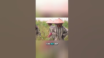 Khi Tất Cả Mặc Giống Nhau, Cái Tôi Dần Lặng Đi! #giangho #tintuc #gianghomang #news #phapluat