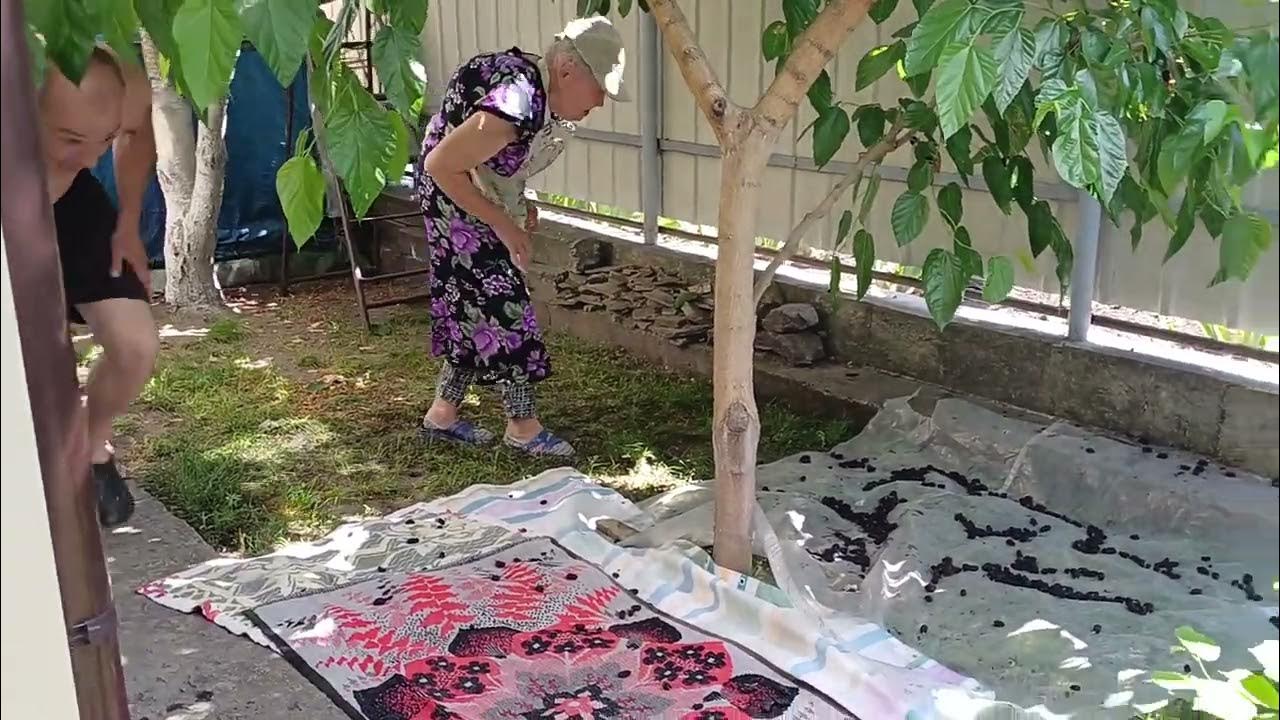 на огороде без трусов 