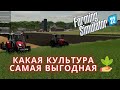 Какая культура самая выгодная Farming Simulator 2022