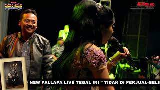 Elis Santika Keranda Cinta