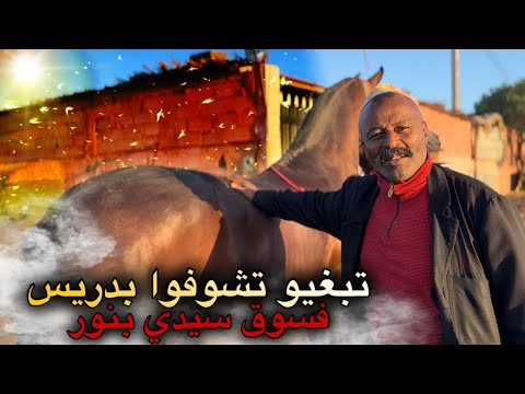 حكاية بادريس على سوق سيدي بنور واش تبغيو بادريس إرجع السيدي بنور