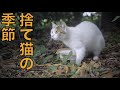 雨の中の安否確認