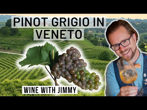 WSET Level 4 Diploma D3 Veneto Pinot Grigio