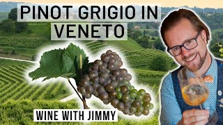 Thumbnail for WSET Level 4 Diploma D3 Veneto Pinot Grigio