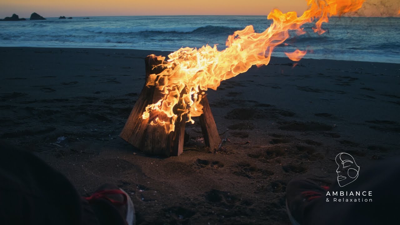 Baignade, feu de camp comment profiter des soirées d'été en plein air ?