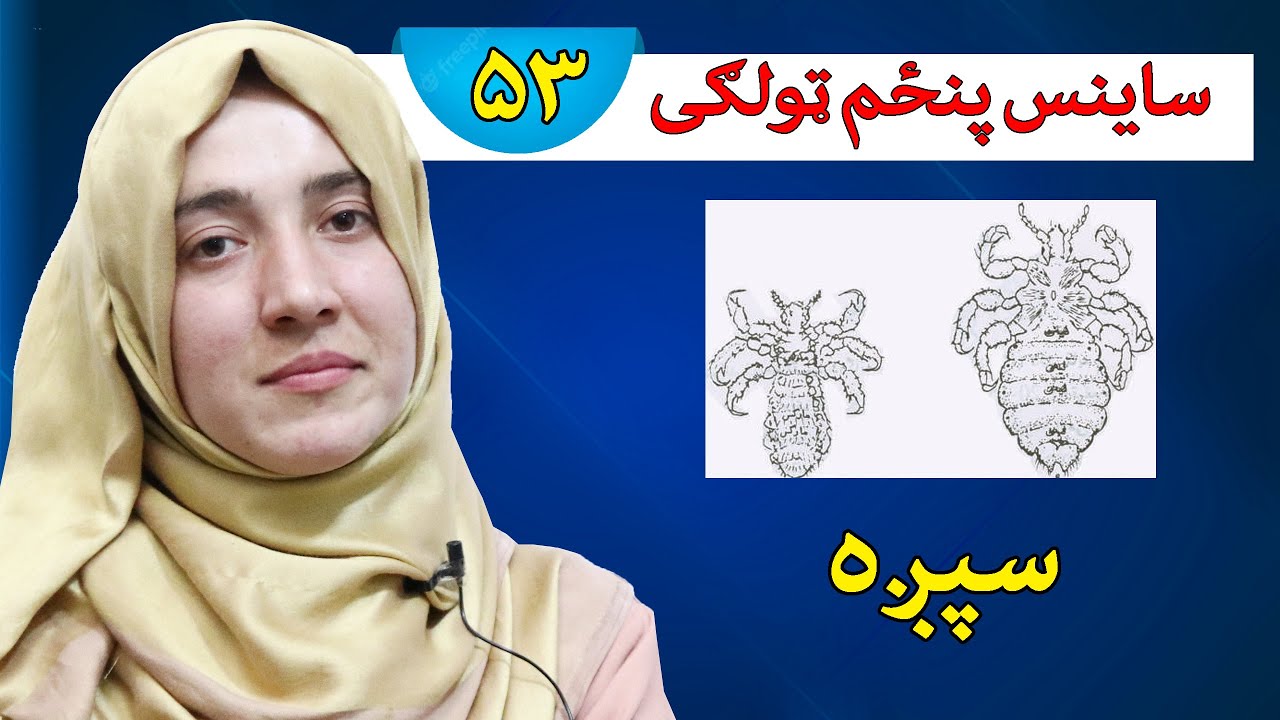 Class 5 Science Lesson 53 YouTube Class 5 science lesson 53 youtube