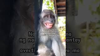 When You Fell Asleep And Someone Wakes You Up