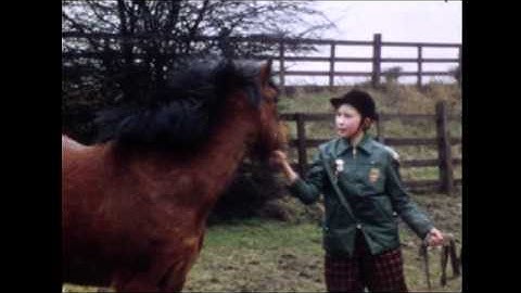 Cine transfer from the FlashScan HD