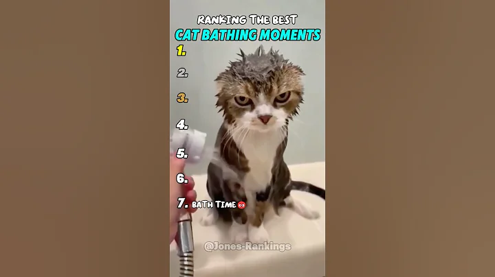 Watch the video about Ranking The Best Cat Bathing Moments