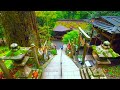 Kyoto Walk - Kuramayama / Kurama (鞍馬寺 / 鞍馬) - 4K
