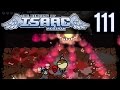 Infinite Health (The Binding Isaac: