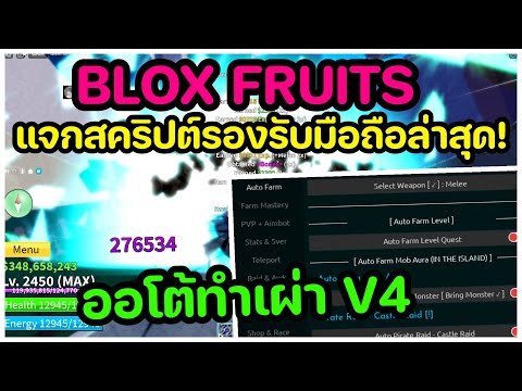 🔥แจกสคริป Blox Fruits อัพเดทล่าสุด!!🌊