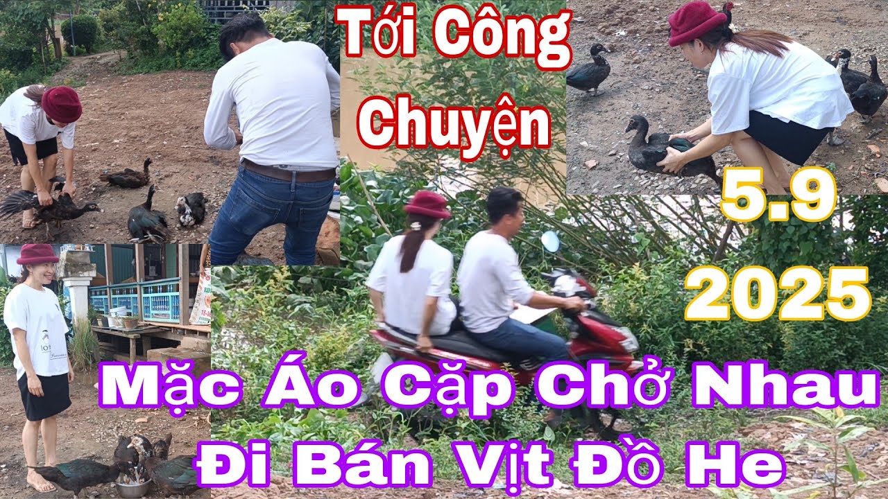 Xuka Và Anh Ấy Bán Vịt Nhìn Cưng Quá Chèn #giadinh #phimhay #cuocsong #thinhhanh #mientay 