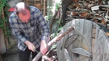 Making a Hazel Longbow - Part II - The Cutting to Length