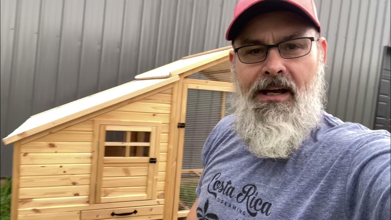 2 month review DIY chicken coop YouTube