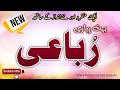 New Rubaiyat 2025 - New Naat 2025 - Adnan Islamic Studio