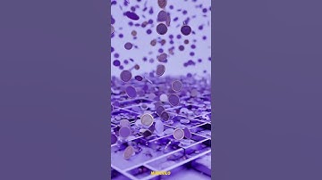 Into the purple coins drop | Munchilo