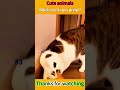 #animalfacts #wildlife #facts #funny #viral #shorts