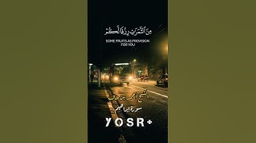 الله الذي خلق السماوات والأرض وأنزل من السماء ماء فأخرج به | سورة إبراهيم | أحمد بن طالب