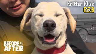 Dog Says, 'My Hobby Is To Run Away!' I Before & After Ep 93