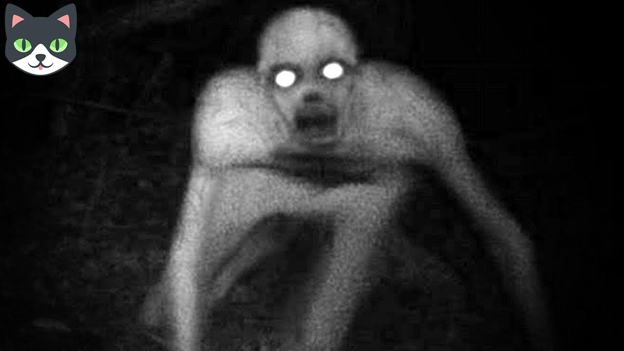 misteriosas criaturas captadas en video 5 THE RAKE CAPTADOS EN VIDEO - SI NO LO HUBIERAN GRABADO NADIE LO CREERIA