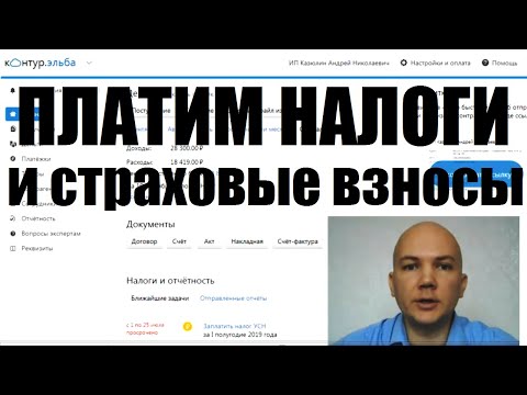 Как предпринимателю платить налог и страховые взносы. Контур Эльба для ИП. Личный кабинет