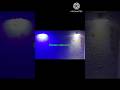 making#creative decoration#light
