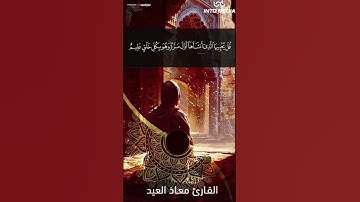 أواخر سورة يس #معاذ_العيد #سورة_يس #قرآن #تلاوات