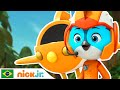 Top Wing | O melhor de Swift - parte 2 | Nick Jr. em Português