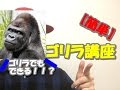 【ブレイクダンス講座】VictorやRonnieがよくやるパワームーブ【ゴリラ】