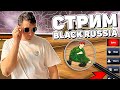 БЛЕК РАША СТРИМ - В ПОИСКАХ "ЧЕСТНЫХ ИГРОКОВ"