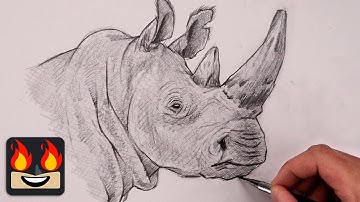 How To Draw a Rhinoceros | Sketch Tutorial