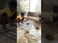 Foundation (Footing) Jali making #civilengineering #foundation #architectual #reels #viral