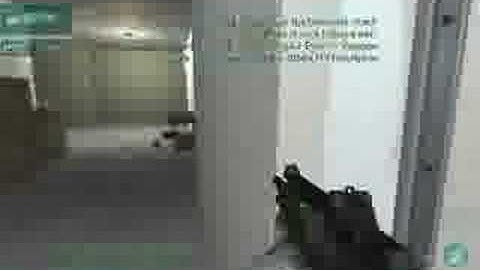 FEAR_-_Redefining_Pwnage