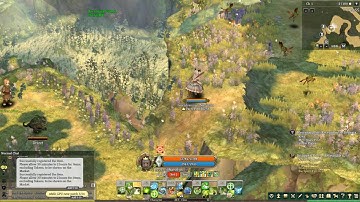 Tree of Savior Graphics glitches with new patch 5/31