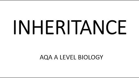 INHERITANCE - AQA A LEVEL BIOLOGY + EXAM QUESTIONS RUN THROUGH