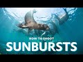 How to Shoot Sunbursts Underwater