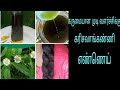 கருமையான முடி வளர்ச்சிக்கு கரிசலாங்கண்ணி #hair #oil#tamil #hairgrowth #haircare #hairsolution