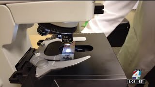 Picking apart pollen, a local lab looks at microscopic images of what’s flying in the air