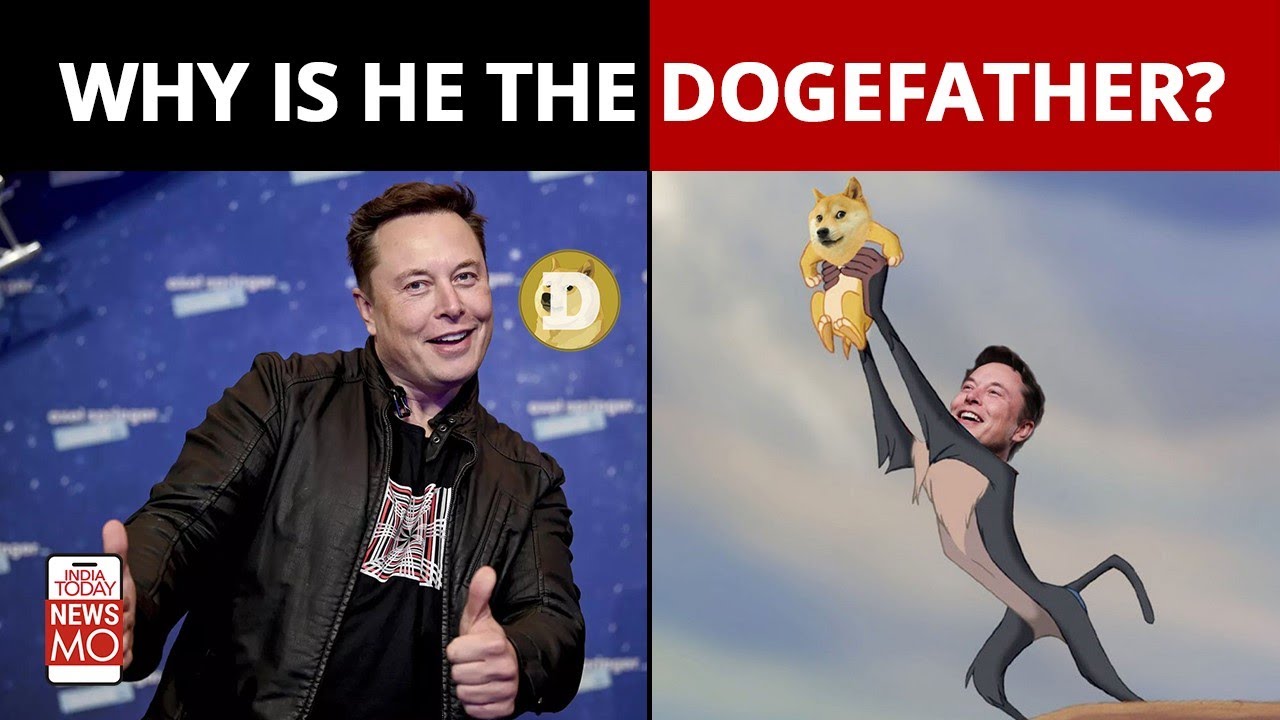 Elon Musk's Doge Tweet Sends Dogecoin Soaring | Musk Effect | NewsMo
