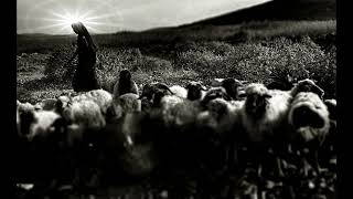 The Shepherds and the Angels Carol