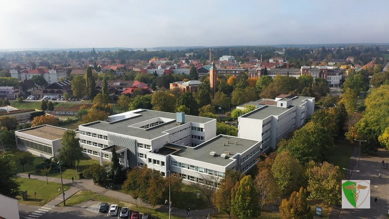 Vas Megyei SZC Kereskedelmi és Vendéglátó Technikum és Kollégium