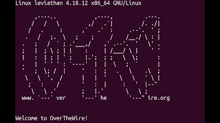 OverTheWire - Leviathan  Level 5