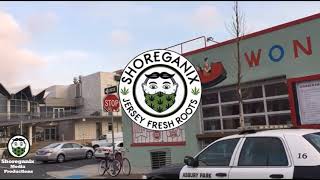 Shoreganix Commercial