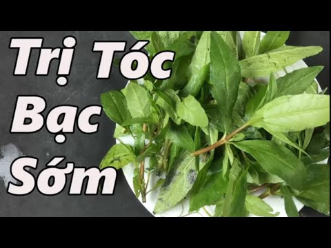 Video Bài thuốc dân gian chữa khỏi dứt điểm bệnh tóc bạc sớm... - youtube