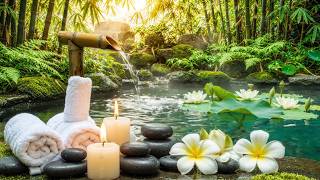 Deep Sleep Guaranteed 😴 | Soft Spa Piano Music with Flowing Bamboo Water Sounds screenshot 4