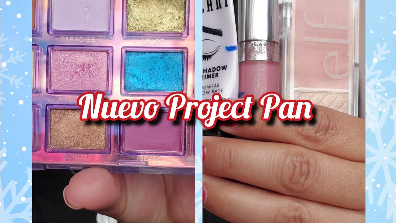 Intro to Project Pan 2026