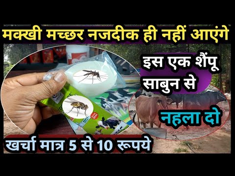 मक्खी मच्छर नजदीक ही नहीं आएंगे||पशुओं को इस एक शैंपू/साबुन से नहला दो👉Makhi Machar ka Shampoo
