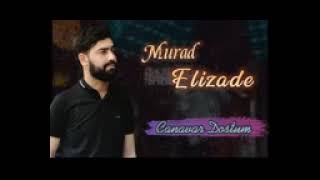 Murad Elizade - Canavar Dostum 2022 [  ] Resimi