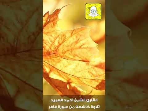 تلاوة خاشعة من سورة غافر للقارئ أحمد العبيد ياقوم انما هذه الحياة الدنيا متاع سناب جوال الخير